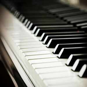 欧美人与拘一级A片
