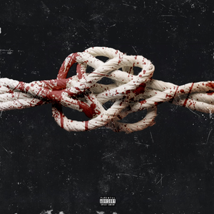 欧美人与拘一级A片
