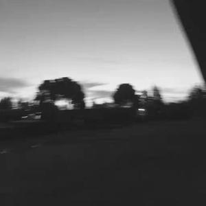 欧美人与拘一级A片
