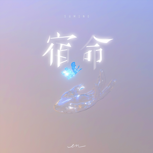 欧美人与拘一级A片
