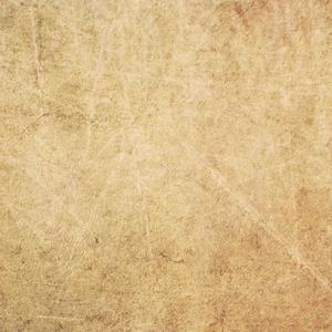 欧美人与拘一级A片
